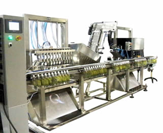 pouch filling machine and pouch capping machine